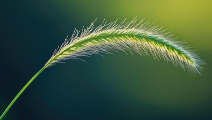 Obraz premium A single blade of grass against a green background.