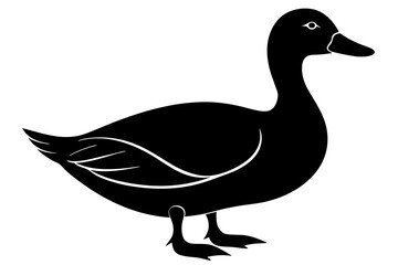  Duck silhouette black vector art illustration