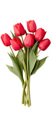 Obraz premium Bouquet of red tulip flowers isolated on white or transparent background, png clipart, design element. Easy to place on any other background.