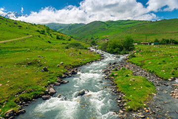 Stormy mountain river flowing among the stones. North Caucasus. Russia
