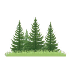 Obraz premium A serene illustration of evergreen trees surrounded by lush green grass, perfect for nature-themed projects. transparent background