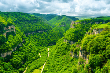 Scenic view of a deep green canyon with rocky walls in a mountainous area in cloudy weather