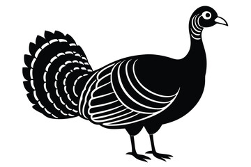 Wild Turkey on Vector Illustration, wild turkey vector illustration, perfect for wildlife and nature