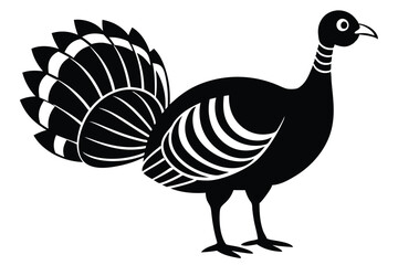 Wild Turkey on Vector Illustration, wild turkey vector illustration, perfect for wildlife and nature