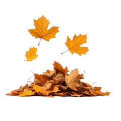 Fototapeta premium A vibrant display of autumn leaves scattered on the ground, capturing the essence of the fall season in rich, warm colors. transparent background