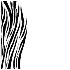Vector simple background with black and white zebra pencils stripes abstract © Nasty