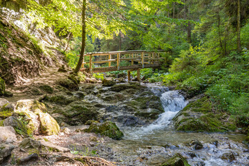 drewniany mostek, kładka nad strumieniem w górach © ckukis