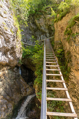 Fototapeta premium mostek, kładka nad strumieniem w górach