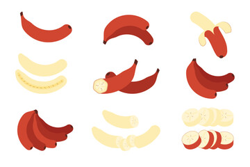 Set of Red Banana, Farm fresh Red Banana product emblem for grocery shop, Slides, long and cross sections, and different positions, simple flat vector illustration of vegetables and fruits.