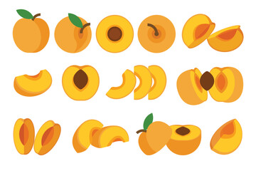 Set of orange Apricot, Farm fresh Apricot product emblem for grocery shop, Slides, long and cross sections, and different positions, simple flat vector illustration of vegetables and fruits.