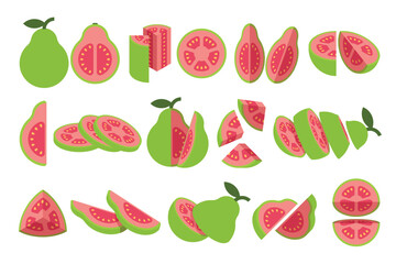 Set of green Guava, Farm fresh Guava product emblem for grocery shop, Slides, long and cross sections, and different positions, simple flat vector illustration of vegetables and fruits.