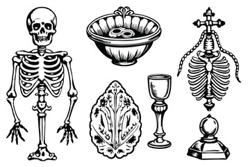 Anatomy Overlay collection