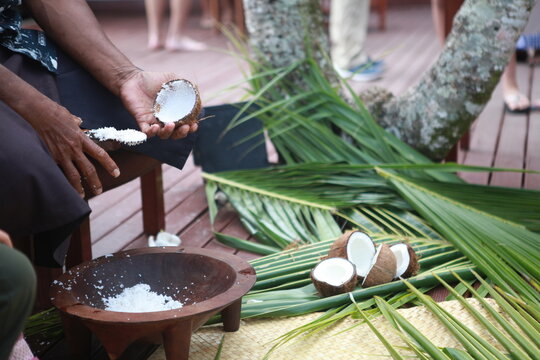 Scraping fresh coconut, traditional food demonstration, Fiji