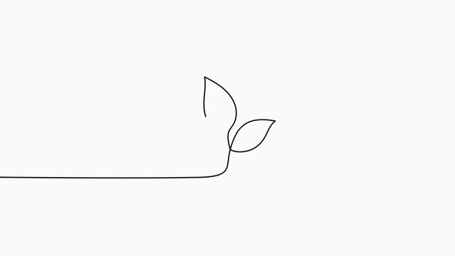 Leaves continuous line drawing animated video. Plant branch one line art.