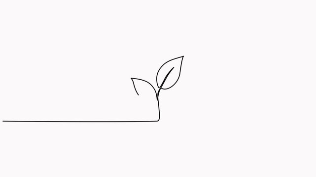 Leaves continuous line drawing animated video. Plant branch one line art.