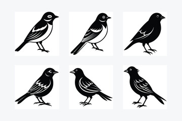 Beautiful birds vector illustration, ideal for print and digital designs.