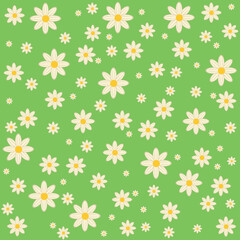 Daisy floral seamless pattern