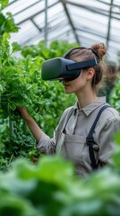 Fototapeta premium A technician uses a VR headset to explore and analyze plants in a greenhouse environment