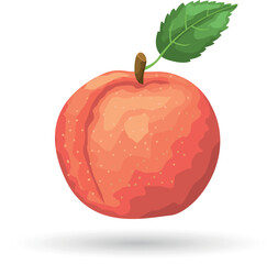 Peach painting vector art.