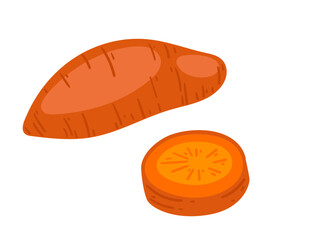 Sweet potato, whole and slice. Perfect for nutrition blogs, healthy lifestyle content, and culinary menu. Vector illustration isolated on white background