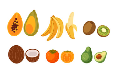 Exotic fruits collection including papaya, bananas, and coconuts. Simple tropical food design. Vector illustration isolated on white background