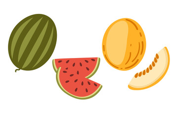 Watermelon and melon with slices. Vector illustration isolated on white background