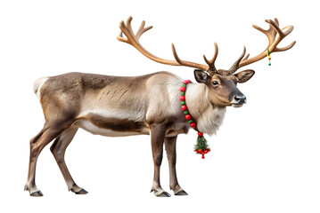 PNG Christmas reindeer with festive collar and antlers transparent