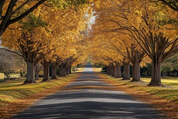 Naklejka premium autumn background