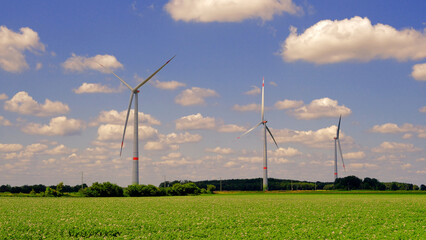 Wind turbines or a group of wind energy converters in Germany against the backdrop of a sunny summer landscape and a flowering potato field. Green energy concept.