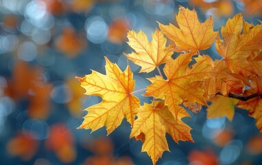 Fototapeta premium autumn background