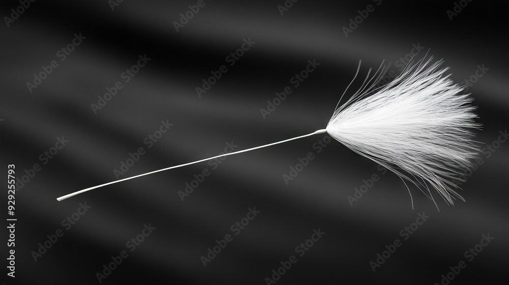 Sticker   A monochromatic picture of a solitary white feather perched atop a slender, elongated stalk