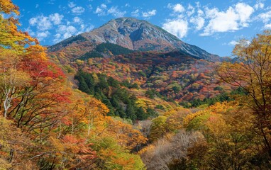Misty mountain valley at sunrise with lush green forests and sun rays breaking through. Perfect for nature, adventure, and landscape-themed designs