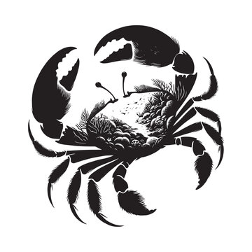 recommend clip art: silhouette of Crab filled with underwater view with coral in rough drawing