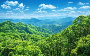 Obraz premium Misty mountain valley at sunrise with lush green forests and sun rays breaking through. Perfect for nature, adventure, and landscape-themed designs