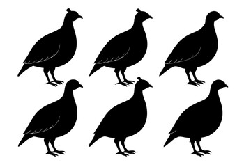 partridge vector silhouette, partridge bird icon vector illustration