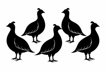 partridge vector silhouette, partridge bird icon vector illustration