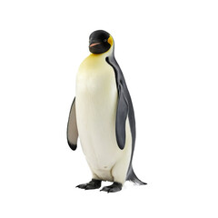 Fototapeta premium isolated Penguin on a transparent Background