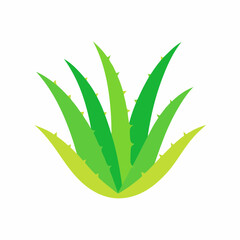 Aloe Vera plant stock illustration
