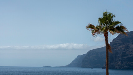 Tenerife 15 © BenWhite
