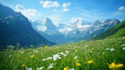 A scenic mountain landscape with colorful wildflowers under a clear blue sky.