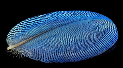   A detailed photo of a blue bird's feather against a dark backdrop with its reflected wing mirrored in the water below