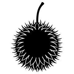 Rambutan black art vector illustration