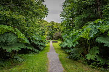 Derrynane, Ireland - June 9 2024 
