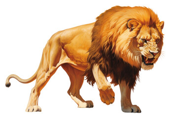 Obraz premium PNG Mammal animal lion carnivora.