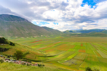 Obraz premium L'altipiano di Castelluccio di Norcia, Umbria, Italia, durante la fioritura dei campi di lenticchie, in una giornata con sole e nuvole di fine giugno 2024