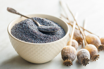 Dry poppy head and poppy seed in bowl on kitchen table.