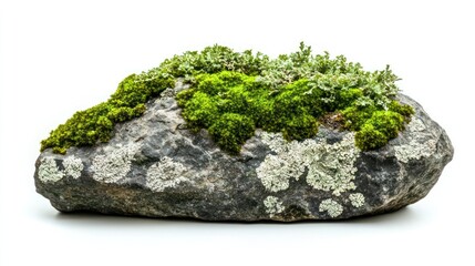 A textured stone covered with vibrant green moss and lichen, showcasing the beauty of nature's resilience.