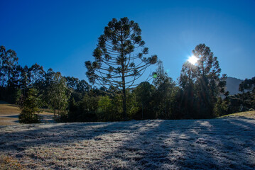 Forte geada no amanhecer de Urubici, na Serra Catarinense, Brasil 