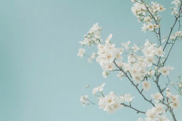 The delicate beauty of spring flowers is captured against a soft pastel blue backdrop, evoking a romantic and naturally aesthetic concept with generative ai