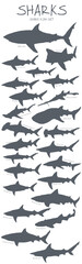 Shark Iconography set